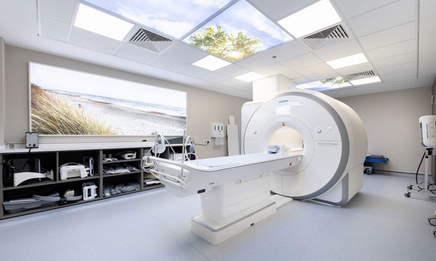 Bladder cancer diagnosis image