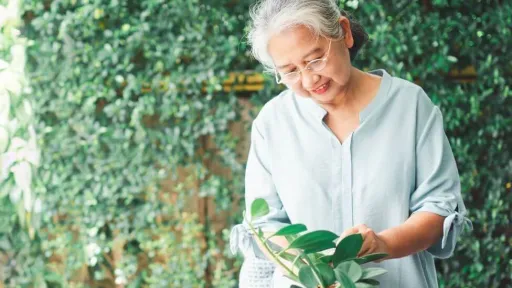 Elderly asian woman gardening