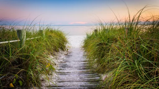 pathway to florida beach