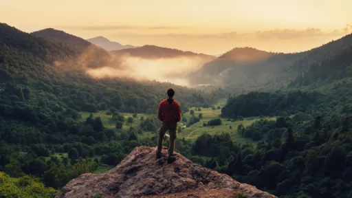 man standing gazing on cliff